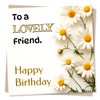 Lovely Birthday Daisy Card For Friend - Flowers, Nature, Daisy