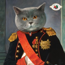 Fromm Four-Star Nutritionals Chicken Au Frommage Cat Food - Premium Dry Cat Food - Chicken Recipe - 4 lb