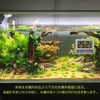 Aquarium Thermometer, Water Thermometer with Large LCD Display, Terrarium Water