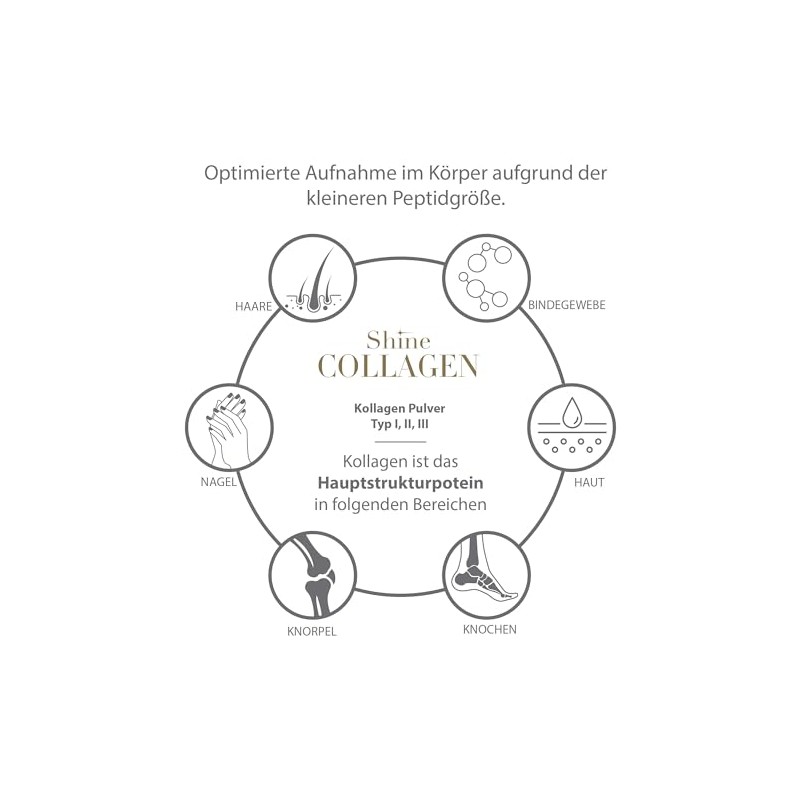 Shine Collagen Shine Collagen Pulver 900g (3x300g) - Unser Original
