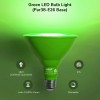 EDISHINE PAR38 Dimmable Green Flood Light Bulbs ChristmasDecor