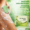 Tea Tree Soap, Natural Gentle Exfoliating Cleansing, for Face &