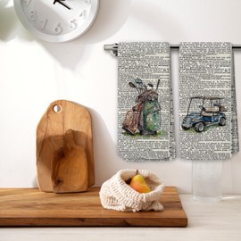 BCUANGD Vintage Golf Kitchen Towels Decor Set of 2 - Retro Sports Club Hand Tea Towels, Trendy Preppy Golf Gifts Dish Towel Dishcloths Decorations for Home Kitchen Dorm, 16"x24"