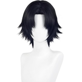 Killua Zoldyck Cosplay Wig Killua Zoldyck White Heat Resistant Wig Wig Cosplay Photography Festival (Chloro Lucilful)