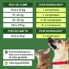 Trebifarma Diurecor Forte Cani e Gatti, Supporto Intensivo di Reni