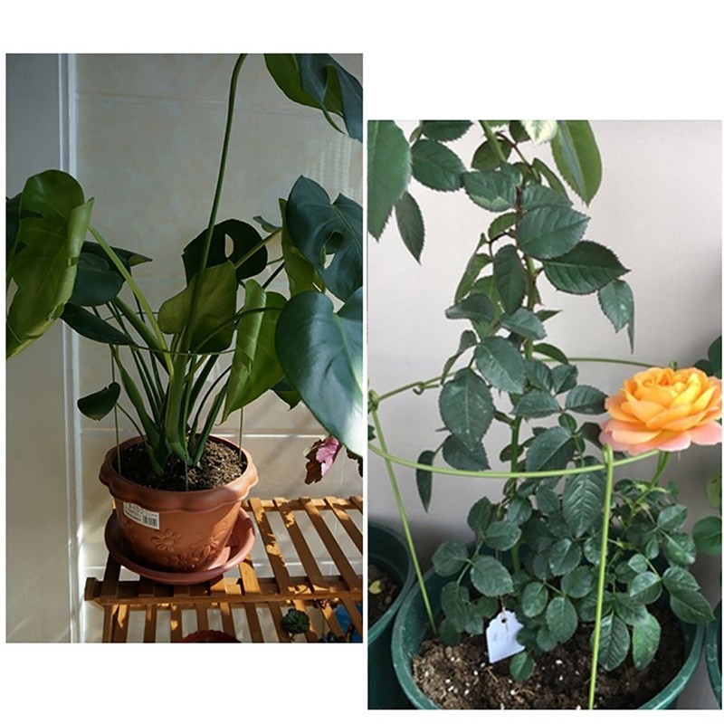 Hanobo 5 Pack Garden Plant Support Rings for Potted Plant,