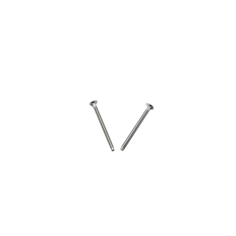 Moen 15528 Escutcheon Screws, Chrome (2-Pack)