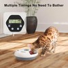 Automatic Cat Feeder Wet&Dry Food, 6 Meal Timed Pet Dispenser