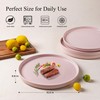 AmorArc Ceramic Dinner Plates Set of 6,10.0 Inch Matte Stoneware