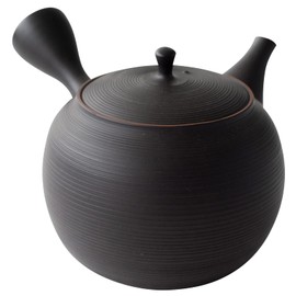 Tokoname Ware Gyoko Kiln 266400 "Plenty of Pouring and Easy to Clean" Teapot, Ceramesh, Ceramic Tea Strainer, Large Capacity, Approx. 16.9 fl oz (480 ml), Black Kiln Transforming Pattern, Green Tea,