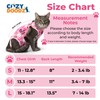 Cat Recovery Suit: Pink Cat Surgery Recovery Suit Female w/Paw