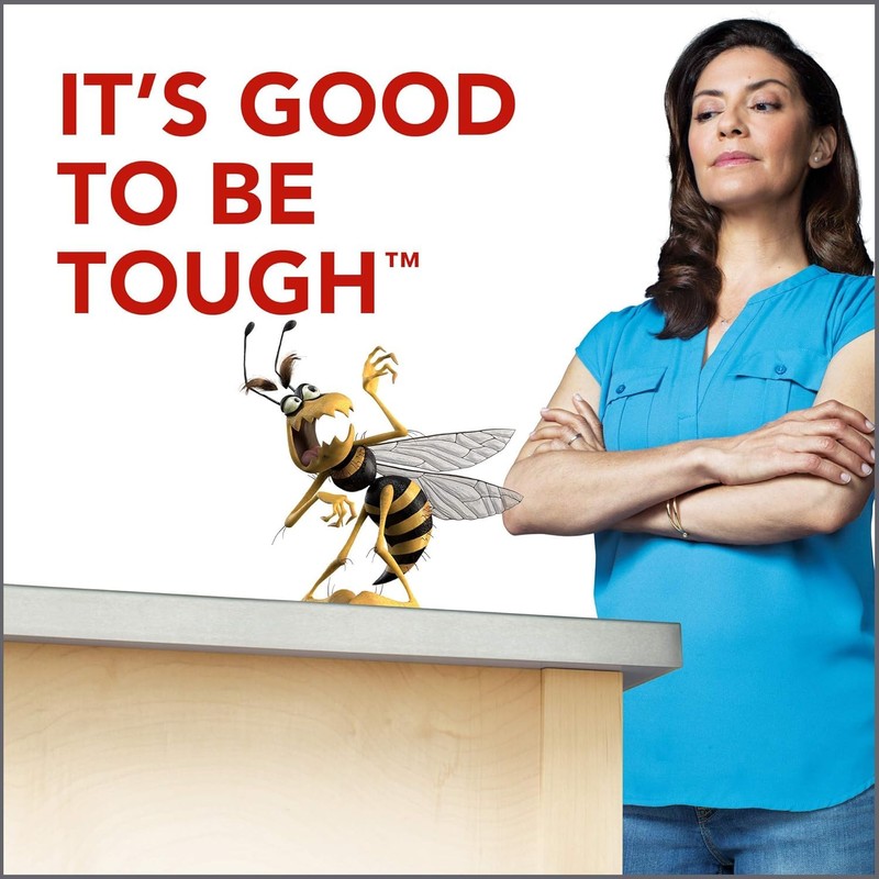 Raid Wasp Hornet Killer Spray 14 Ounce (Pack of 2)