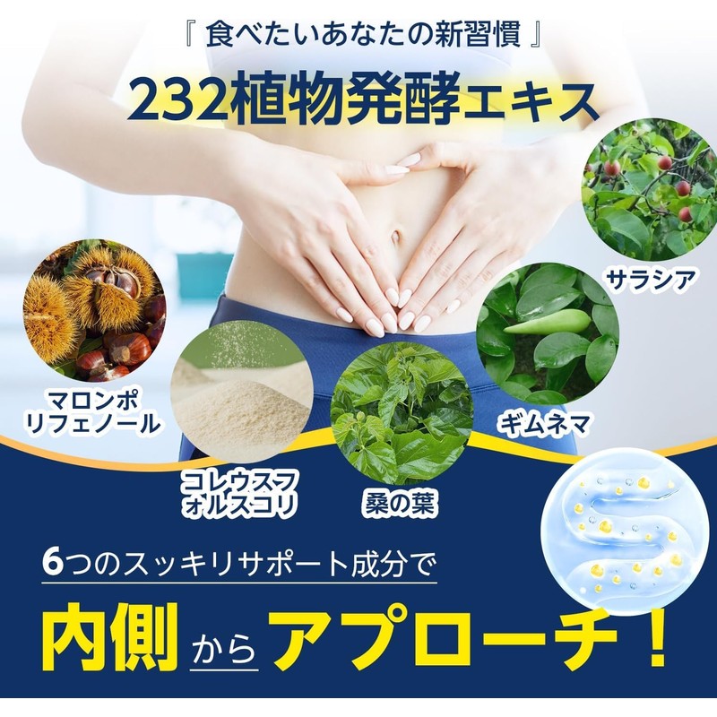 ISDG 食スルー酵素 Gold 酵素 野菜 サプリメント 232種類の天然野菜と果物 マロンポリフェノール 桑の葉 コレウスフォルスコリ