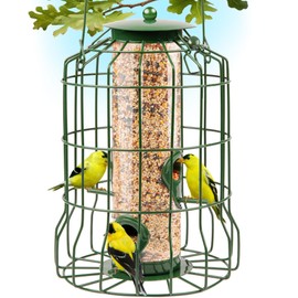 Squirrel Proof Bird Feeders for Outdoors Hanging (Metal Green) Bird Feeder with 4 Ports, Chew-Proof & Weather Resistant, Backyard Gift (10.25 x 6.25 x 6.25 inches)