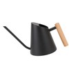 Watering Can with Long Spout 800ml Stainless Steel Matte Indoor