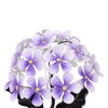 Solar Garden Lights LED Outdoor Decorative Lights Solar Hydrangea Flowers