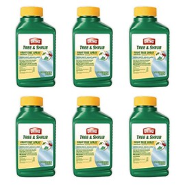 Ortho Tree & Shrub Fruit Tree Spray, 16 fl. oz. (6-Pack)