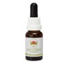 Red SUVA Frangipani 15 ml Stockbottle Australian Bush Flower Essences