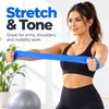 5-Piece Resistance Bands Set for Full-Body Workouts – 5 Resistance