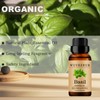 Wuvezrub Basil Essential Oils 10ML, Organic 100% Pure and Natural