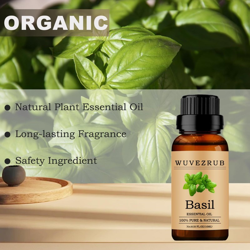 Wuvezrub Basil Essential Oils 10ML, Organic 100% Pure and Natural