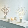 Hairui Twig Branches with Fairy LED Lights 18IN 70LED Battery