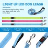 Weesiber Glowing Light Up LED Dog Leash - 4ft USB