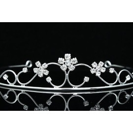 Princess Bridesmaid Flower Girl Rhinestone Crystal Tiara (Clear Crystals Silver Plated)