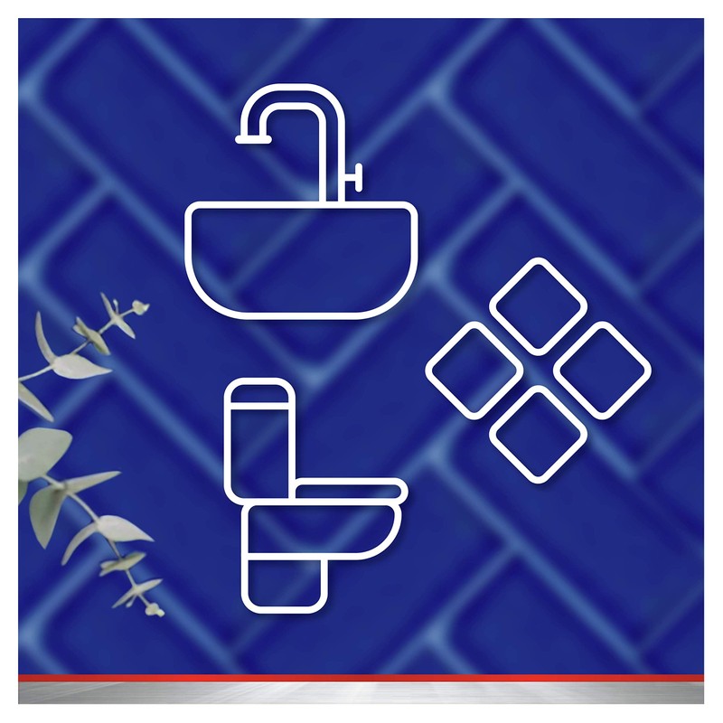 Antikal Classic Antikalk-Flüssigkeit, 700 ml, 2 Stück