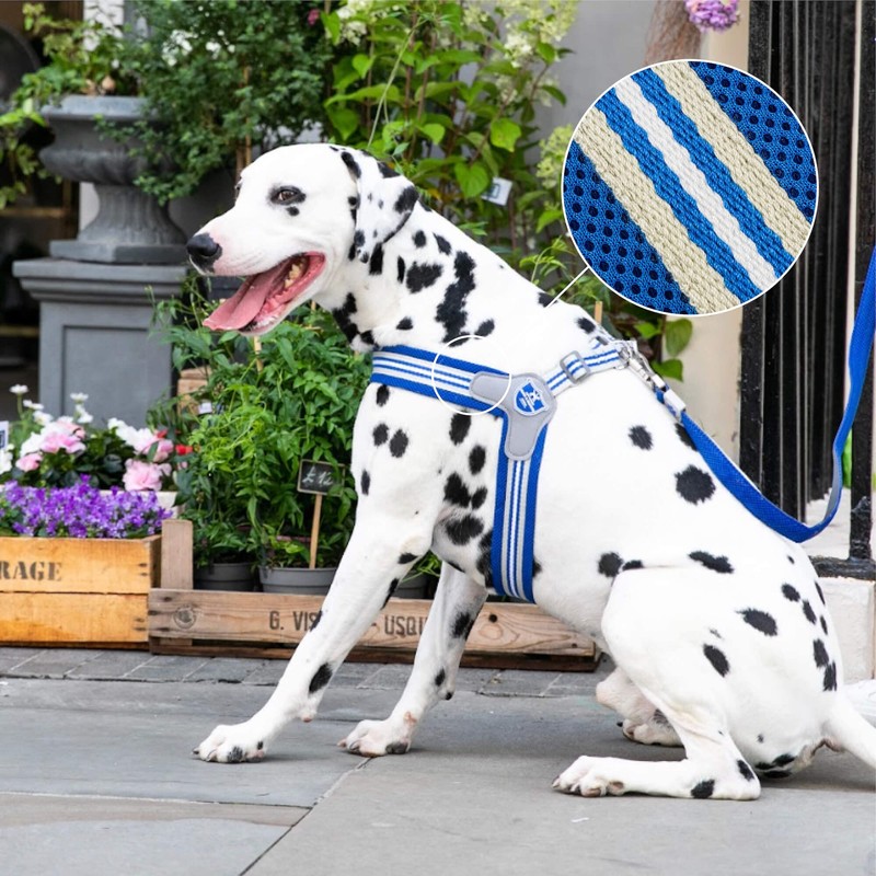 HUGO & HUDSON Easy Walk Dog Harness Adjustable No-Pull Step-in