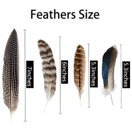 40pcs Natural Pheasant & Turkey Feathers for Crafting DIY Hat, Flower Arrangement, Party - 4 Styles Spotted Feathers Craft Decorative Feathers