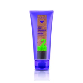 Repairing Hair Repair Mask Biokera Grapeology Salerm (200ml)