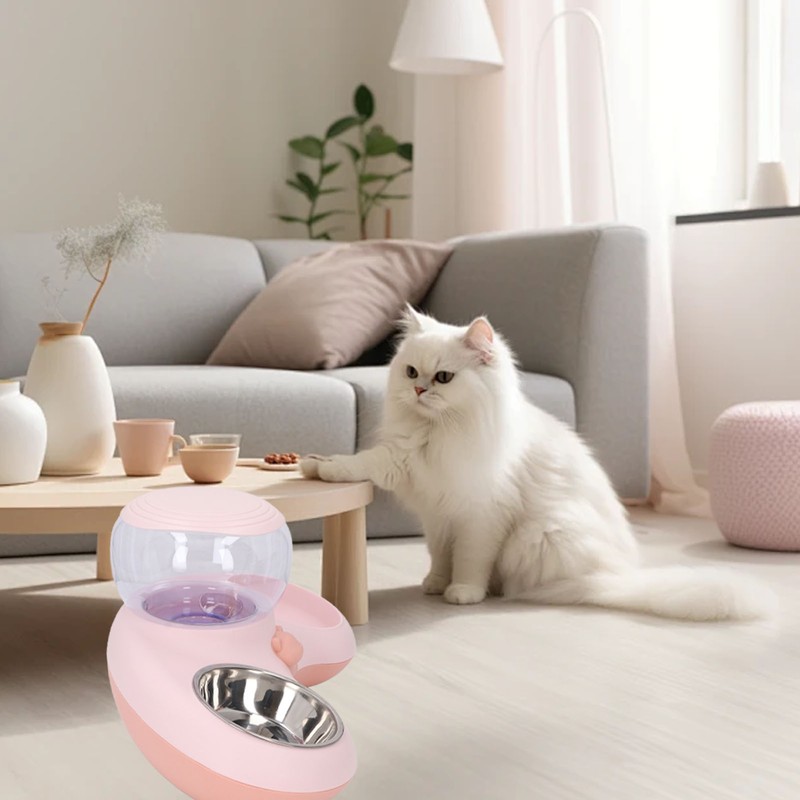 Double Cat Bowls Pet Food and Water Bowl Set Tilted