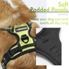 rabbitgoo Dog Harness, No-Pull Pet Harness with 2 Leash Clips,