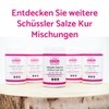 Schüssler Salts Treatment Beauty Skin & Hair 1 + 4