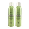 Graham Webb Thick Infusion Root Volumizing Spray 8.5oz (Pack of 2)