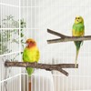 Niteangel Natural Wooden Perches for Bird Cages - Ideal for