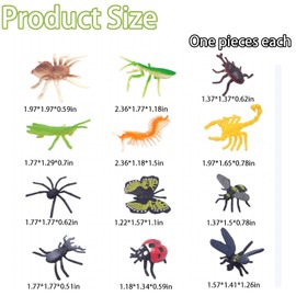 XcnPer 48Pcs Bugs Toys for Kids, Realistic Insects and Bugs for Kids, Educational Bug Toys for Learning and Christmas Party Favors, Durable Plastic Insects for Boys and Girls