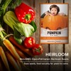 Pumpkin Seeds for Planting (Big Max) Heirloom, Non-GMO Vegetable Variety-