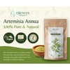 Organic Annual Mugwort Fine Cut Artemisia Annua - Powder, 125