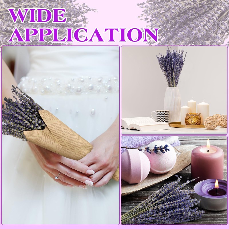 Jutom 12 Pack Total 2280 Stems Dried Lavender Bundle Bulk