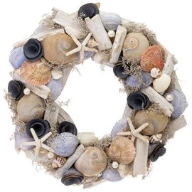 Boston International Wreaths - Decorative Front Door Wall Wreath, 12.5-Inch, Driftwood & Seashells