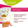 Leafy Pack 2 Jengibre 200g + Cúrcuma en Polvo Orgánico