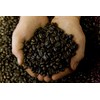 Poverty Bay Coffee Co. Great Bend Blend - Medium Dark