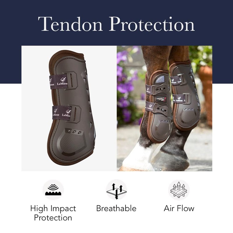 LeMieux Capella Comfort Horse Tendon Boots - Protective Gear and
