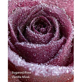 Victoria's Secret Cashmere Fleur Women's Fragrance Mist Body Spray Splash 8.4 Oz