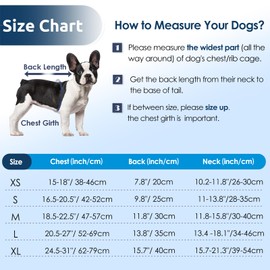 AOFITEE Dog Life Vest for Swimming, Shark Dog Life Jacket for Small Dogs, Adjustable Dog Swimming Vest with Rescue Handle and High Buoyancy, Reflective Puppy Life Jacket Lifesaver for Boating XS