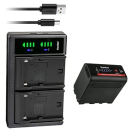 Kastar 1-Pack NP-F980EXP Battery and LTD2 USB Charger Compatible with DSR-V10 EVO-250 DKC-FP3GV-A100 GV-A500 GV-A500E GV-A700 GV-D200 GV-D300 GV-D700 GV-D800 GV-D900 GV-HD700E HDR-AX2000 Camera
