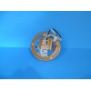 ITC *12 VOLT RECESSED 4 1/2" LED INTERIOR CEILING MOUNT