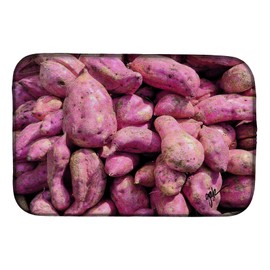 Caroline's Treasures GAK1025DDM Dish Drying Mat Absorbent Dish Drying Mat Pad for Kitchen Counter Dish Drainer Mat for Countertop, 14 x 21", Multicolor